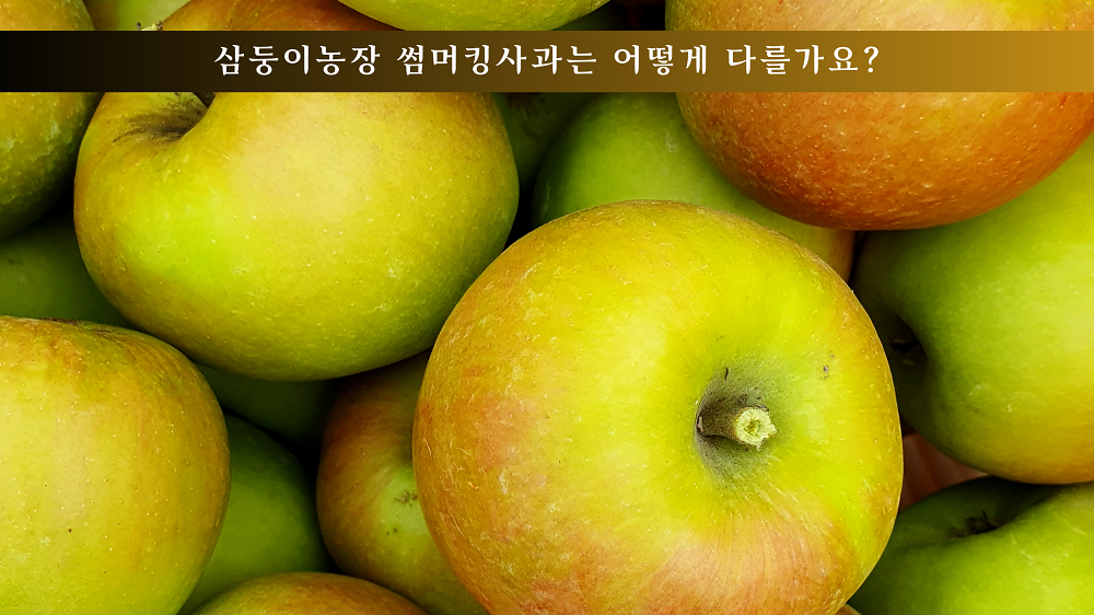 삼둥이농장 사과는 어떻게 다를가요?