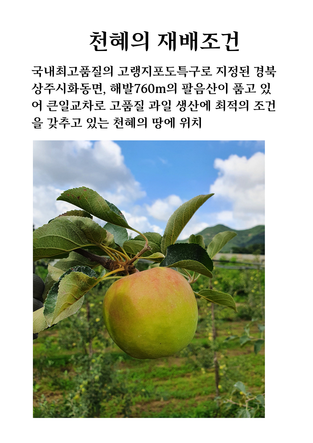 재배조건