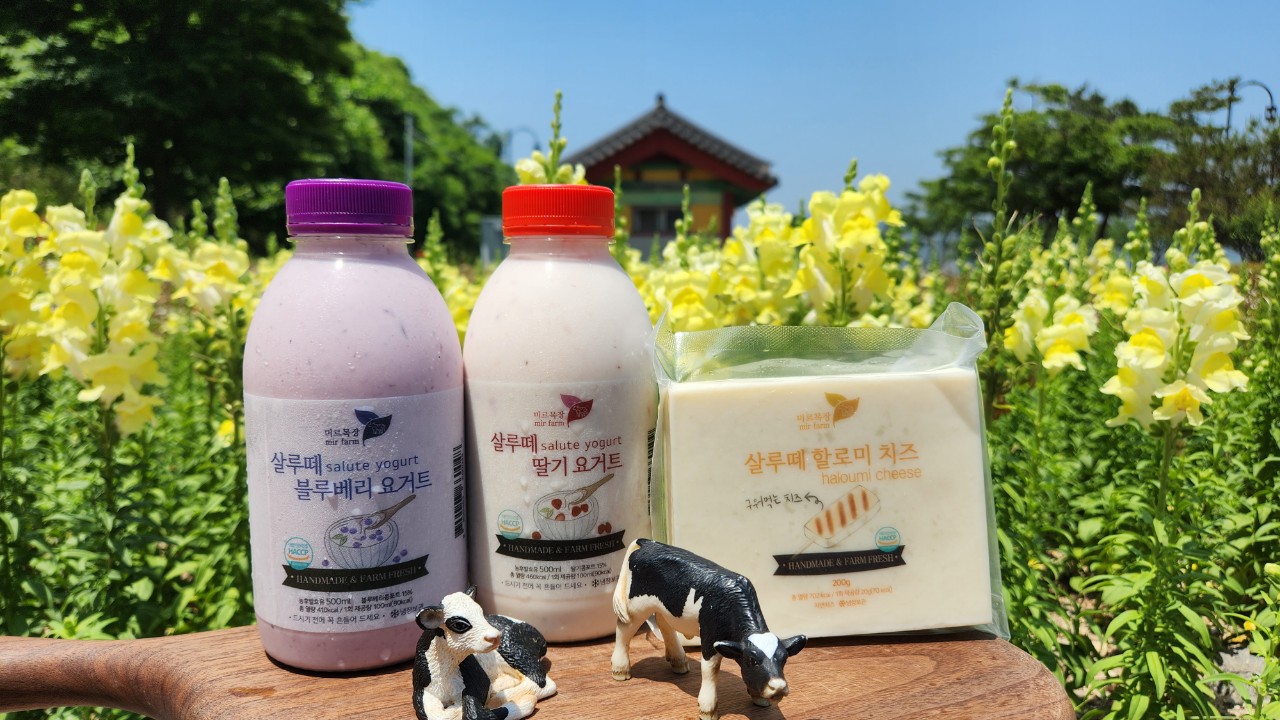 띠교목장 머드목장 미르팜 대로짜장 미르팜 살루떼 요거트 블루베리 요거트 딸기 요거트 살루떼 할루미 치즈 구워먹는 치즈 HANDMADE & FARM 농후발효율 500ml 8개 25 yfn00cm/1 화제공방 100 HANDMADE & FARM 도시가세요 **** ### 90 동작발효 9,500ml 2005 도시기 전에 목 흔들어 드세요. 88명