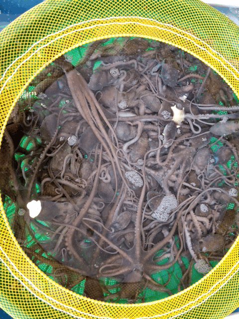 상세페이지 참조.