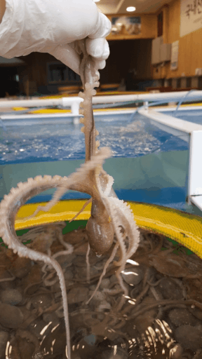 상세페이지 참조.