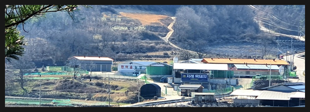 한마음 농장 주식회사 지례 흑돼지