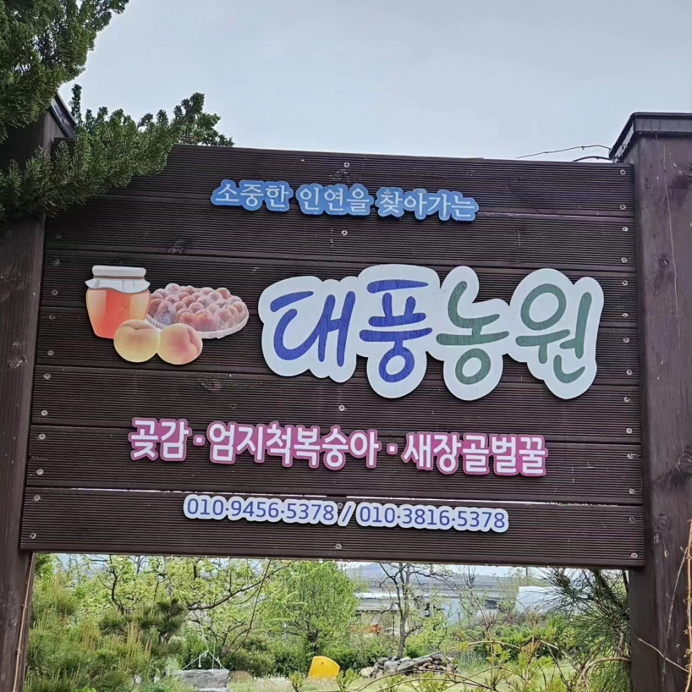 소중한 인연을 찾아가는 대풍농원 곶감, 엄지척 복숭아, 새장골 벌꿀 010-9456-5378 / 010-3816-5378