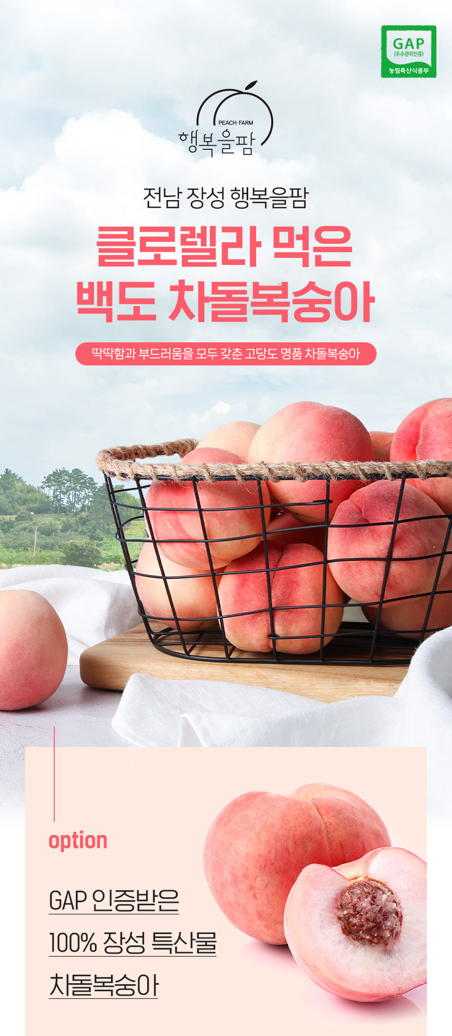 GAP (우수관리인증) 농림축산식품부 PEACH FARM 행복을팜 전남 장성 행복을팜 클로렐라 먹은 백도 차돌복숭아 딱딱함과 부드러움을 모두 갖춘 고당도 명품 차돌복숭아 GAP 인증받은 100% 장성 특산물 차돌복숭아