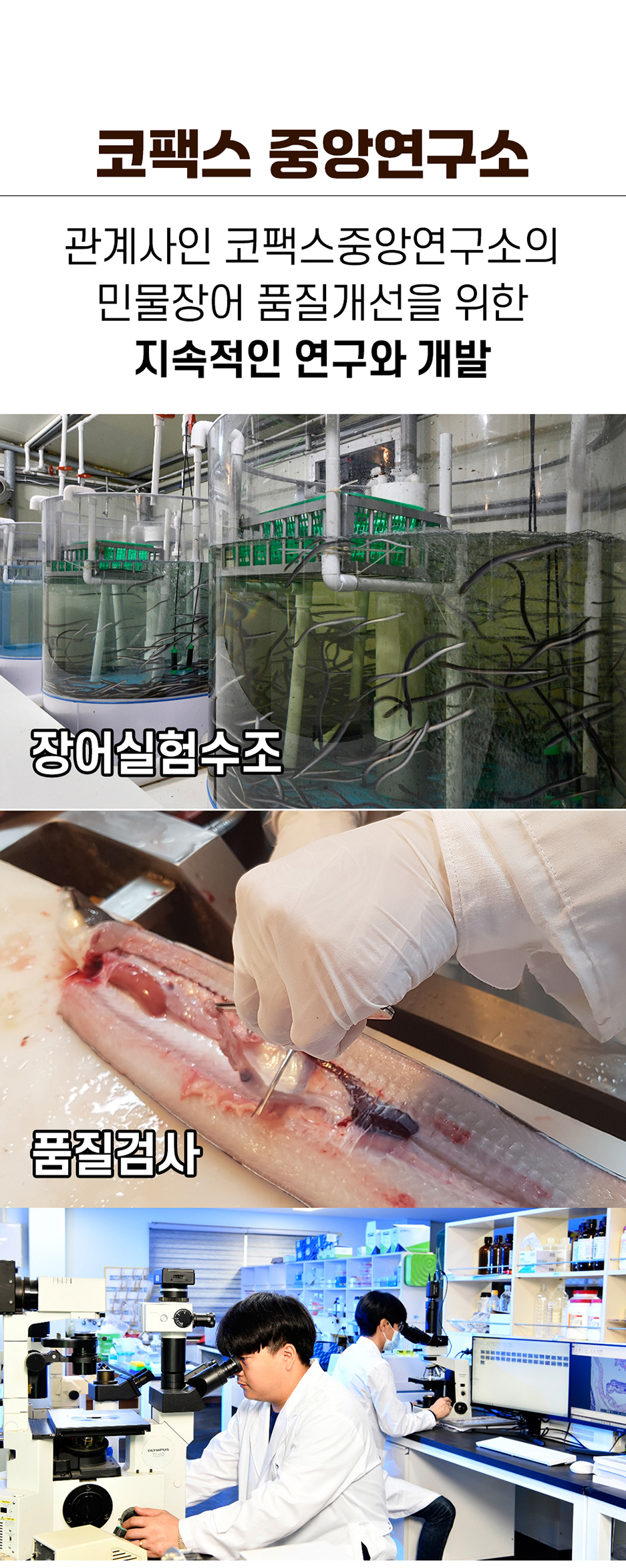 코팩스 중앙연구소 관계사인 코팩스중앙연구소는 민물장어 품질개선을 위한 지속적인 연구와 개발을 진행하고 있으며, 진이에서는 장어실험수조 품질검사를 실시하고 있습니다.