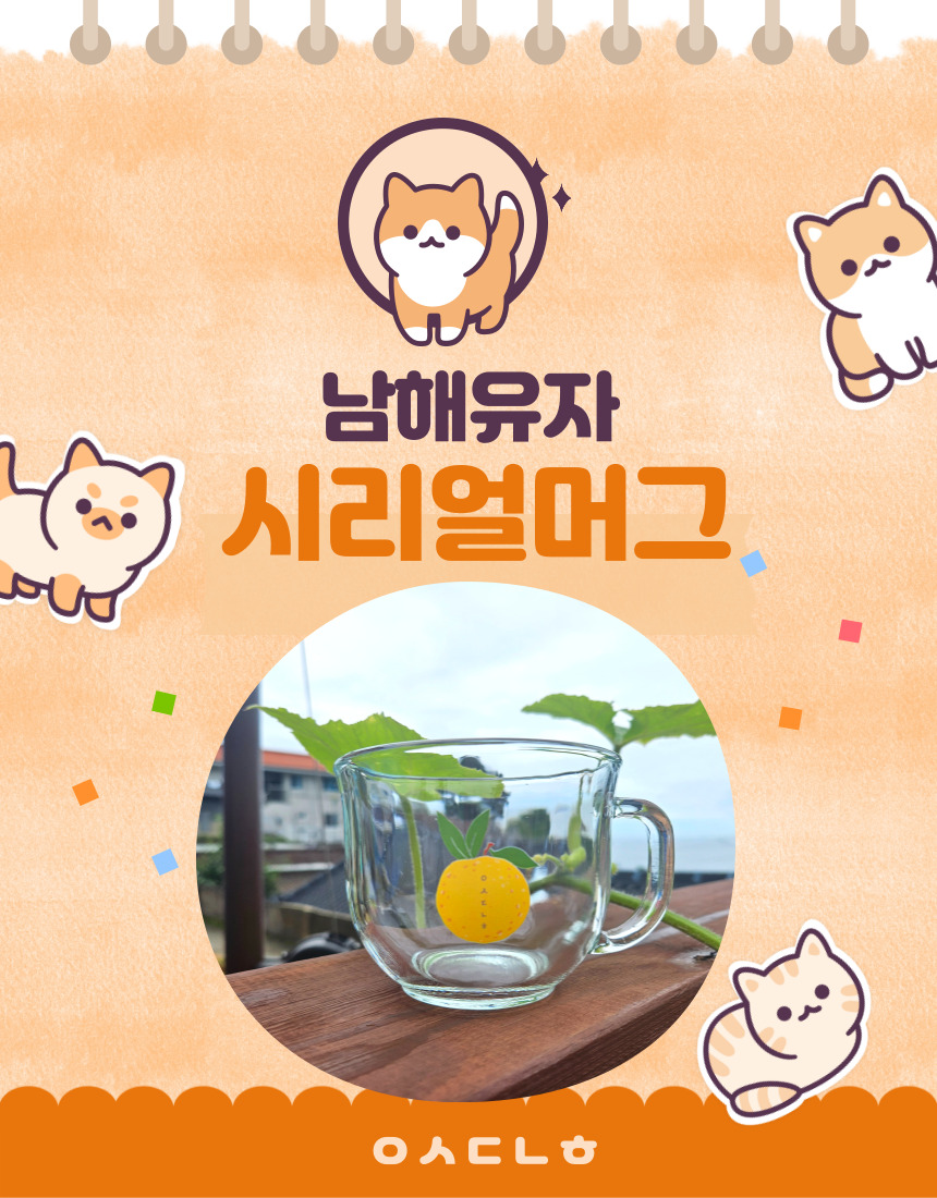 모나코맥주잔세트