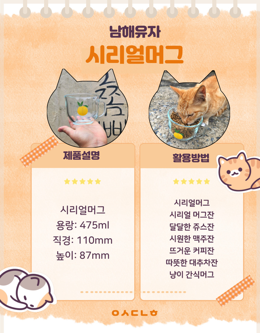 친친맥주잔세트