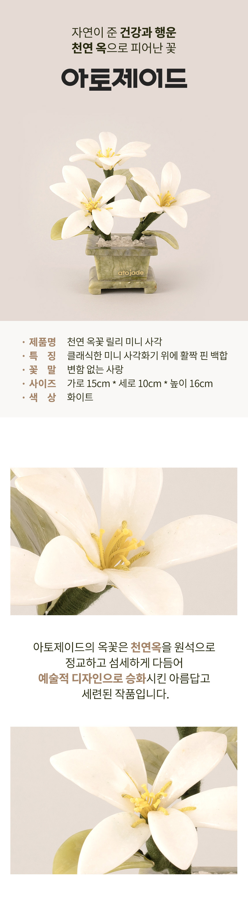 릴리 사각 화이트