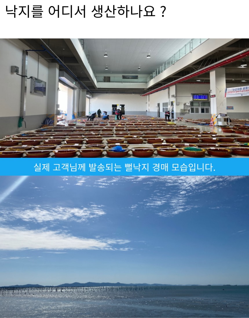 저희 낙지는 가장 싱싱하고 부드러운 뻘낙지를 선별해
부드럽고 야들거리는 맛이 일품인 뻘낙지를 산소포장으로 
집앞까지 보내드립니다.