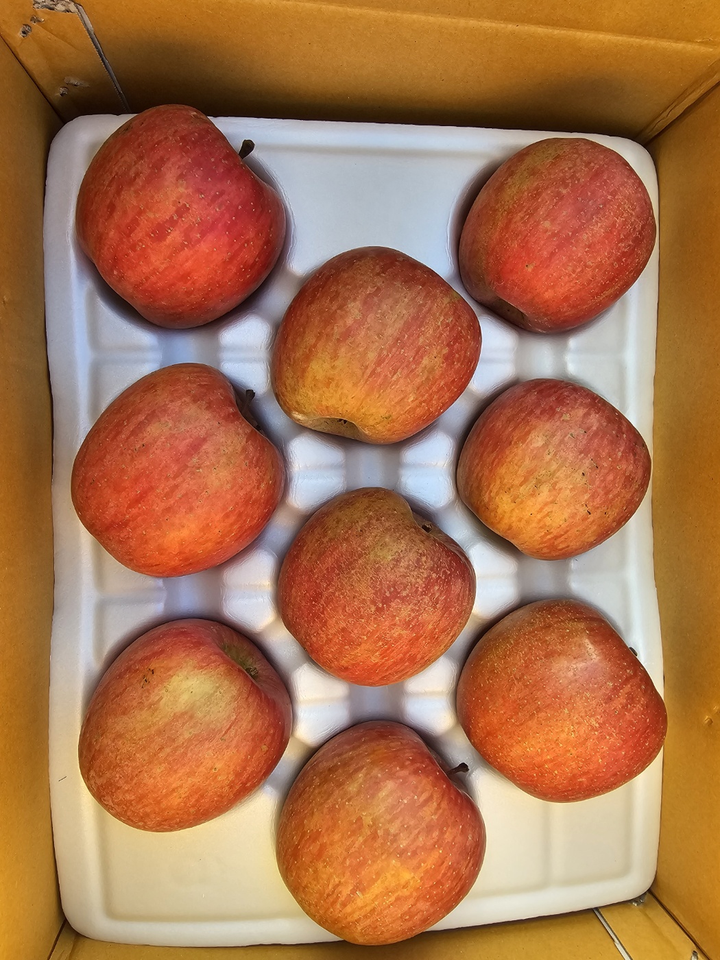 내 가족이 믿고 먹을 수 있는건강한 홍홍사과1 농림축산식품부 GAP인증2 저탄소 농축산물 인증