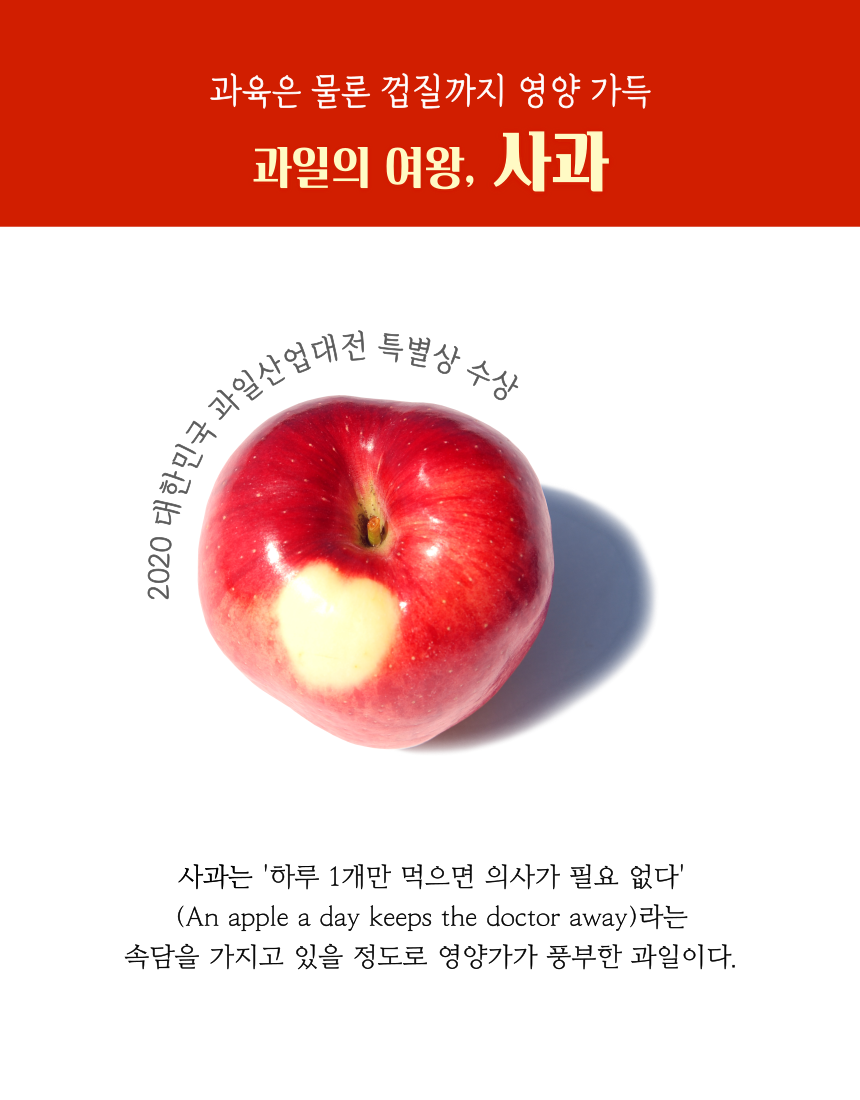 부사 사진