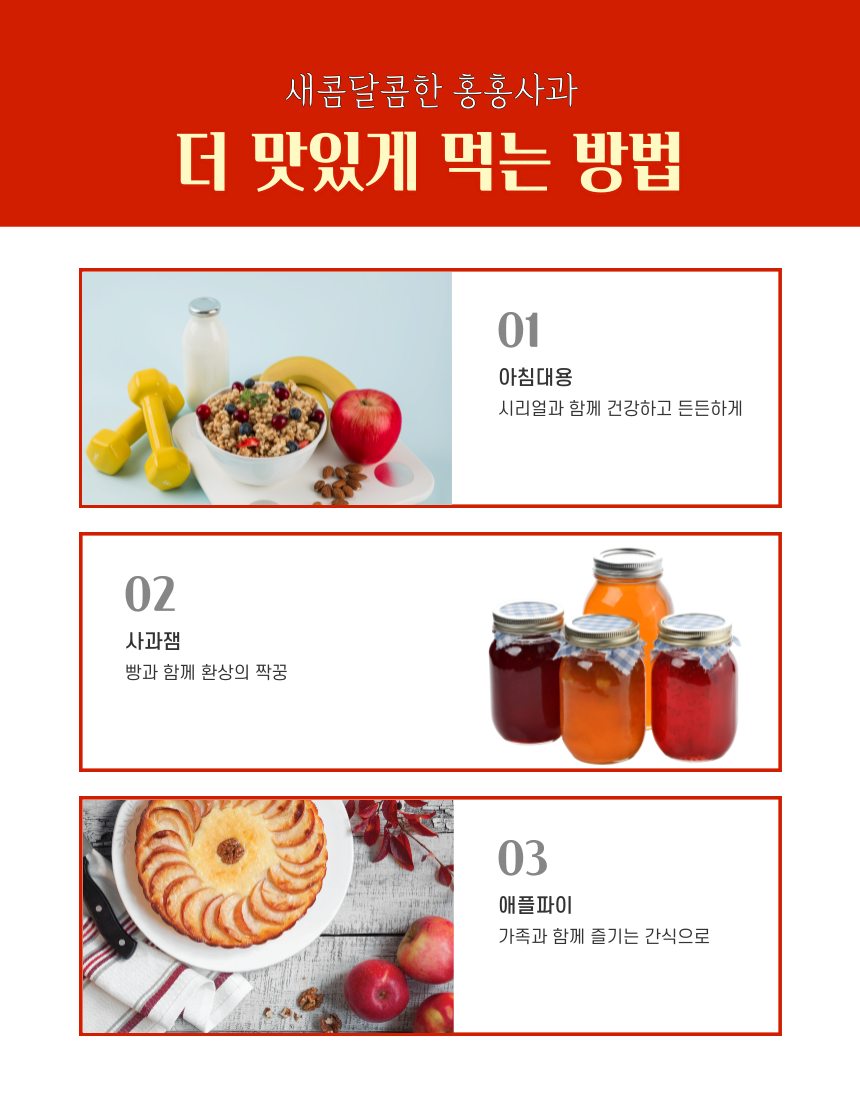 선물용 2.5kg 9과 실물모습