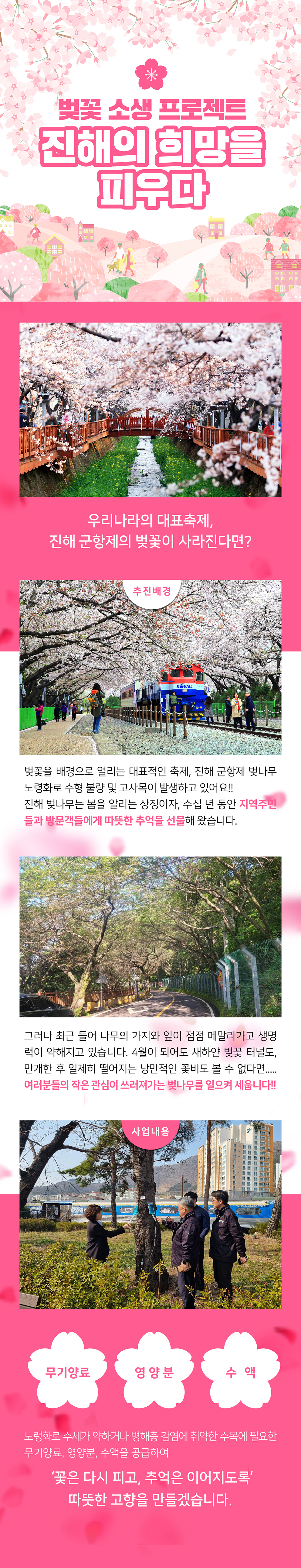 벚꽃 소생 프로젝트: 진해의 희망을 피우다!