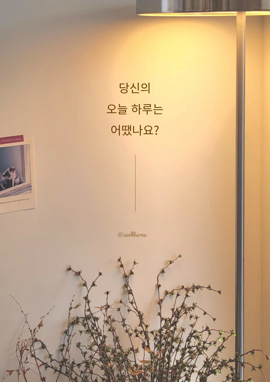 제품 기본 규격40*60센티50*70센티제품명: 베개커버   색상: 본문에 표시    소재: 면, 폴리, 린넨등    구성품: 베개커버(40*60/50*70)    제조사: 우들홈(국내산)   키워드: 수면, 좋은잠, 베개커버