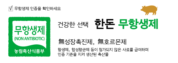 메인 상단 1