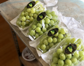 상품 정보