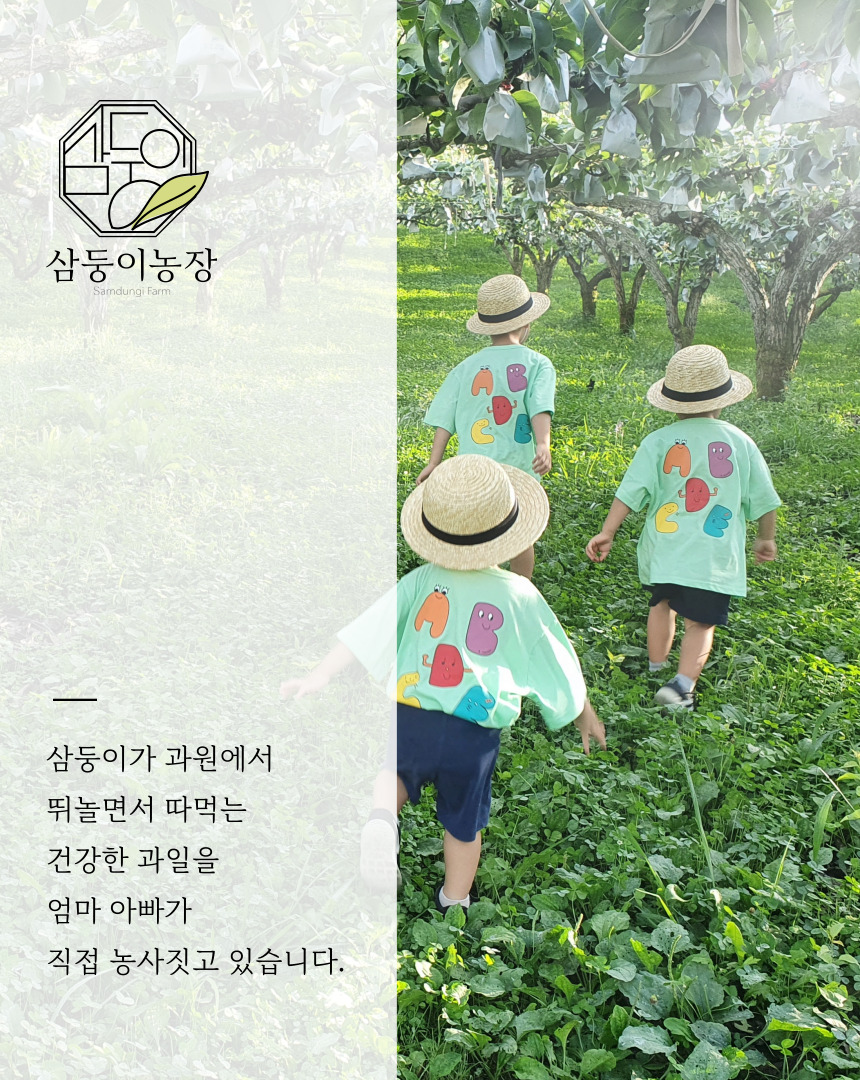 농장소개