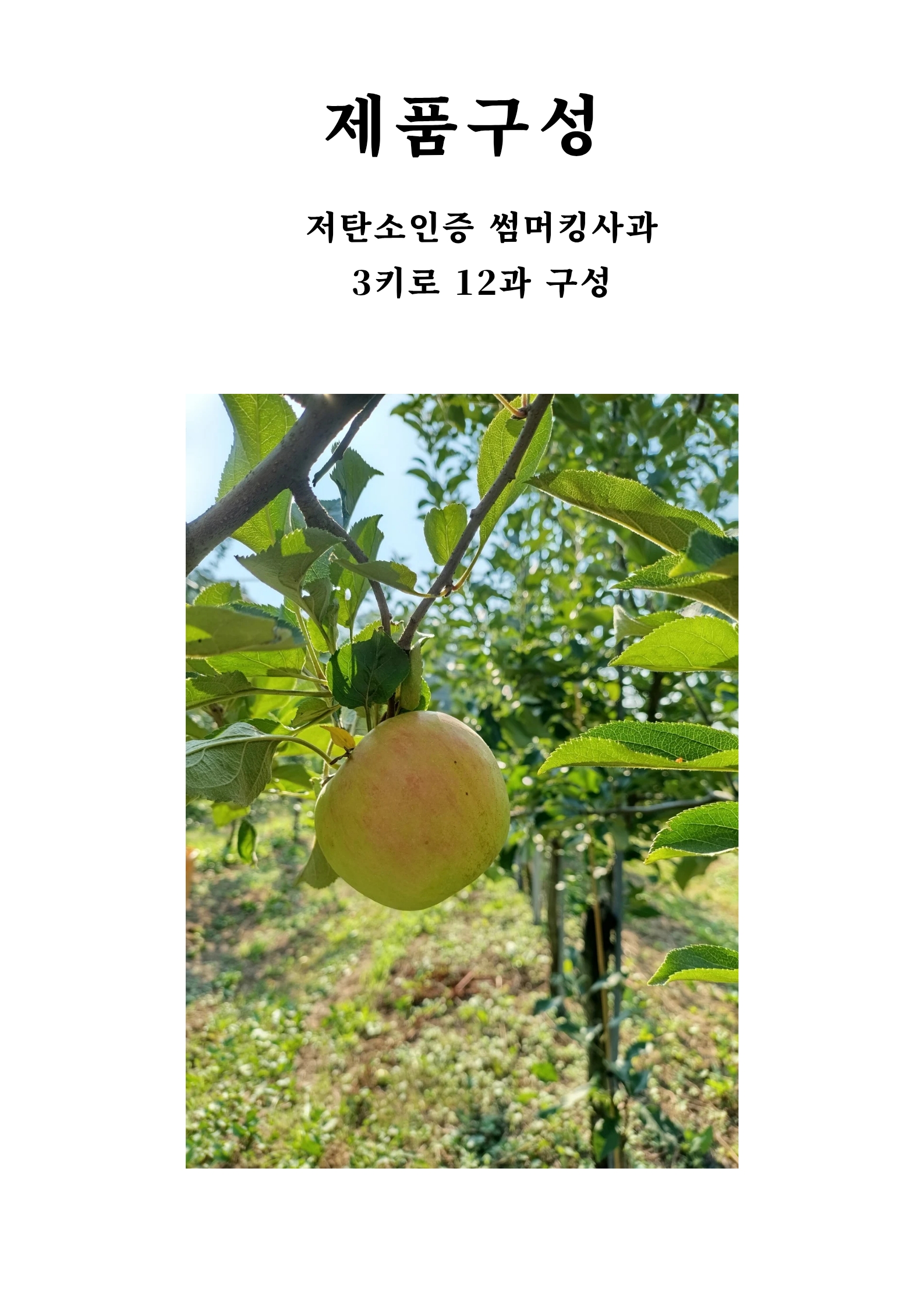 제품구성