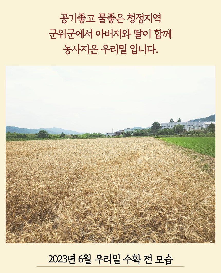 설명