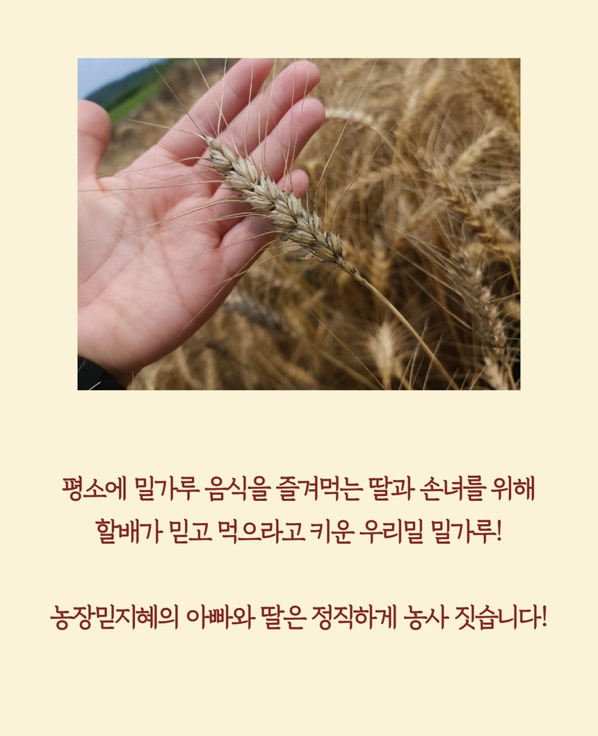설명