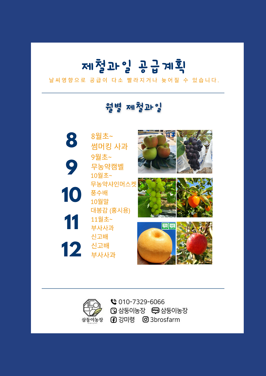 샤인머스켓 상세페이지8