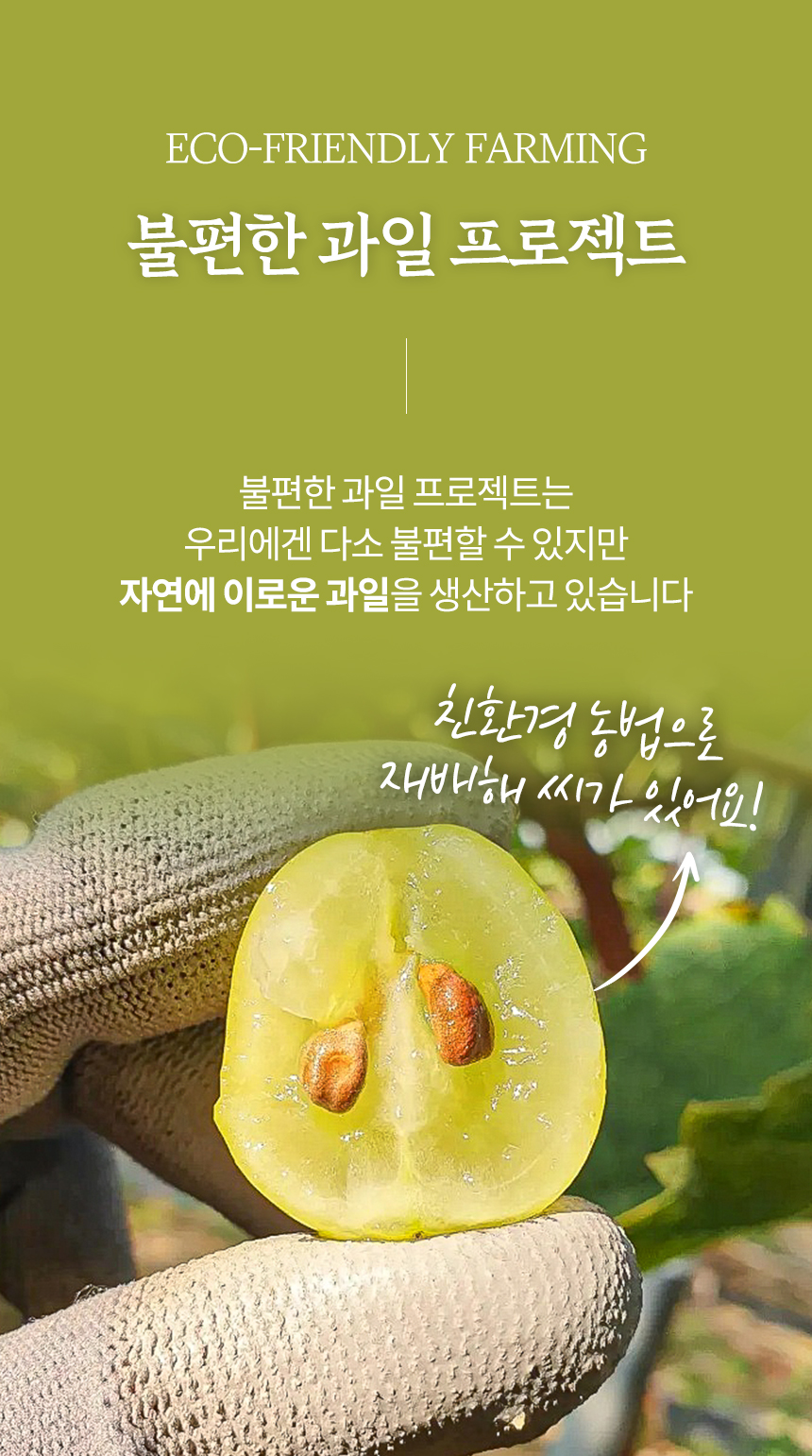 샤인머스켓 상세페이지10