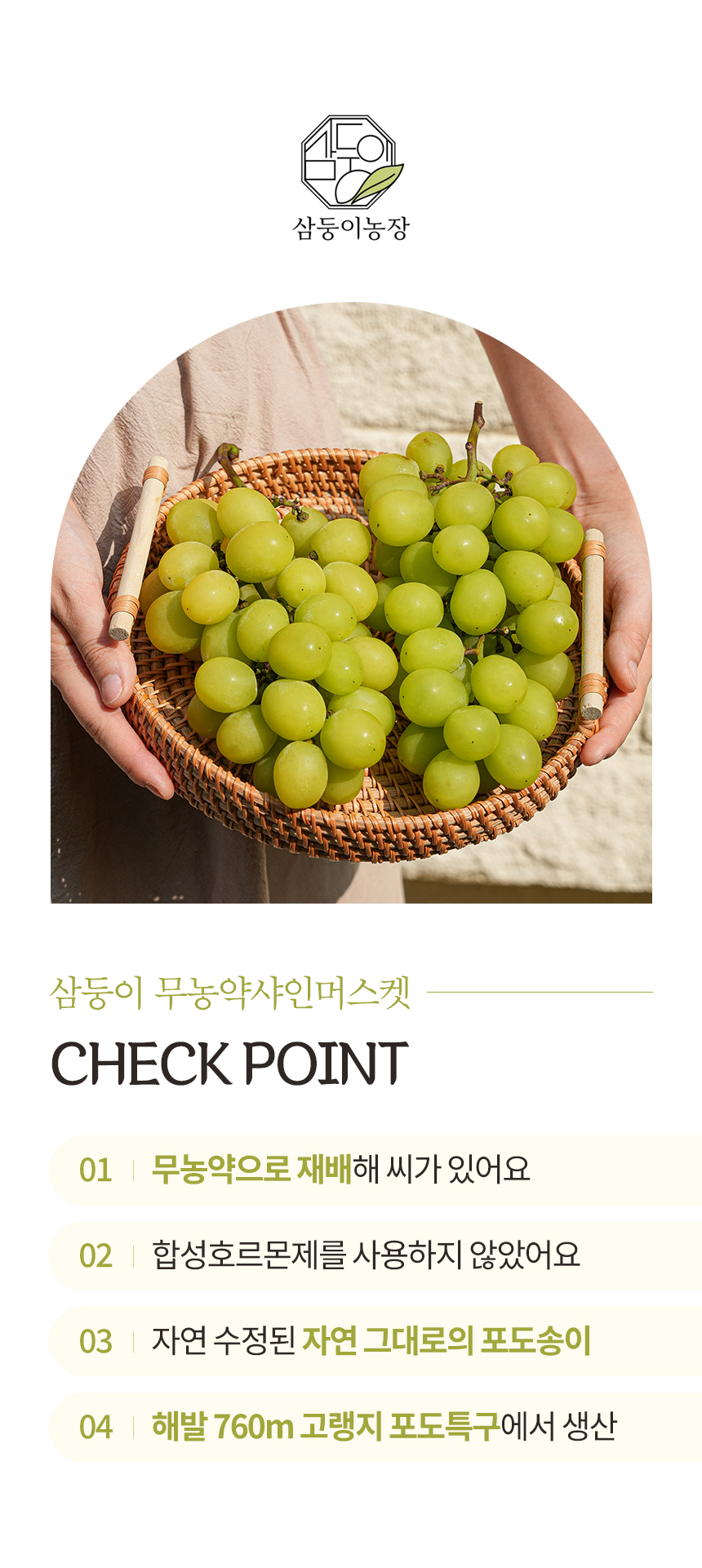샤인머스켓 상세페이지11