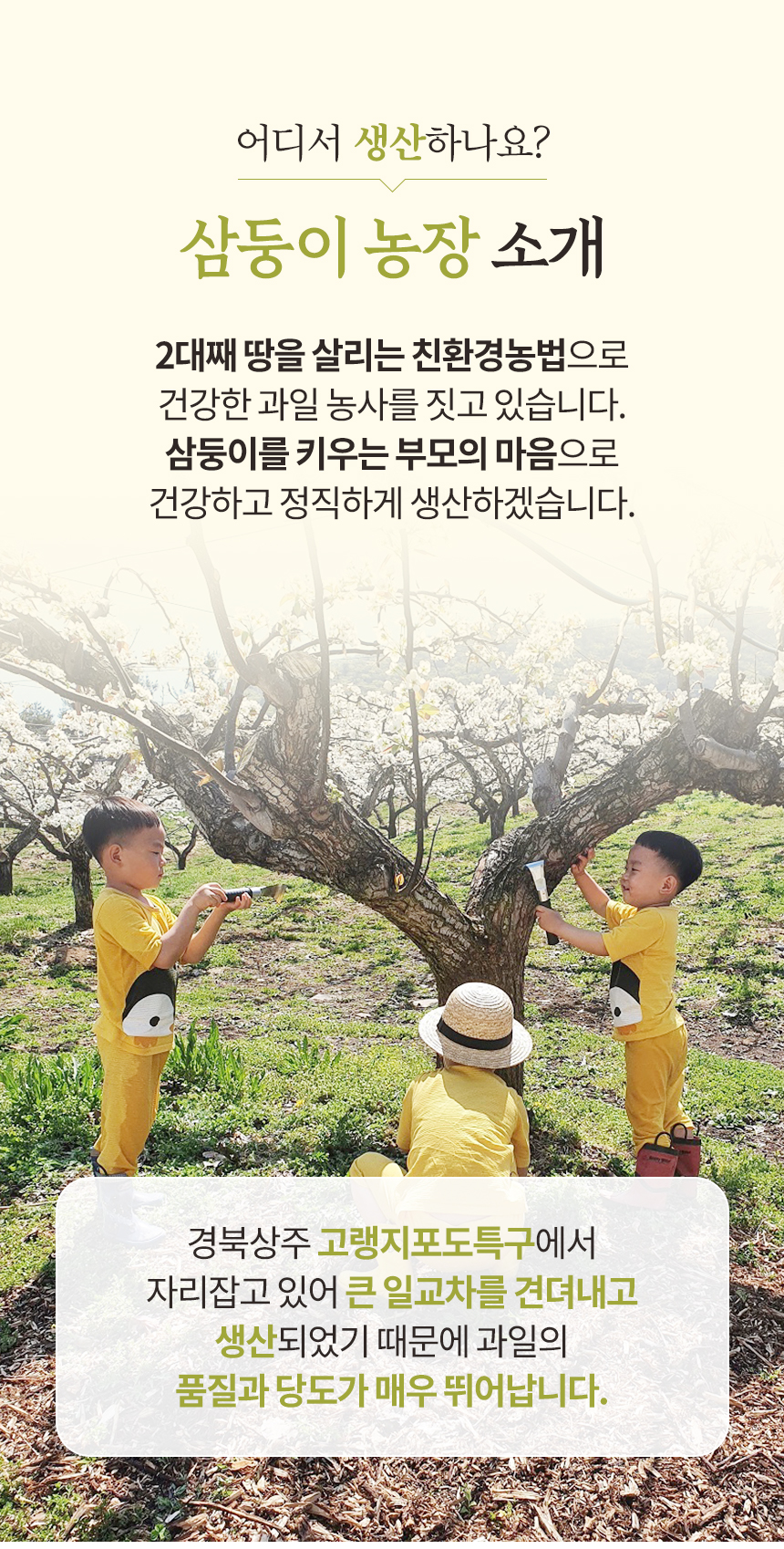 샤인머스켓 상세페이지3