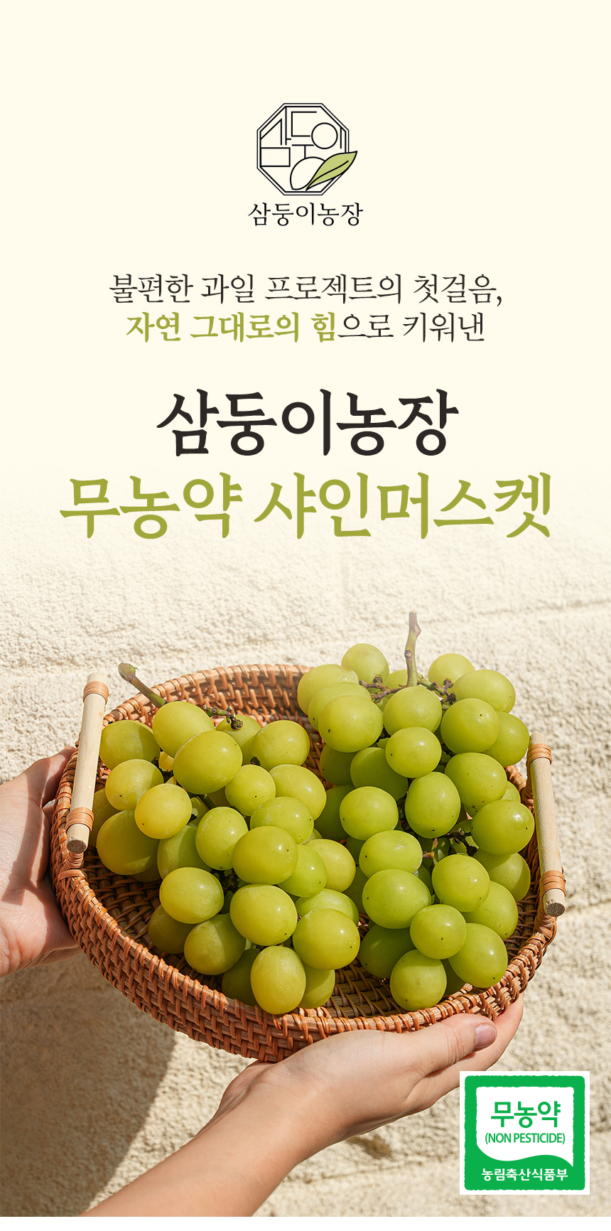 샤인머스켓 상세페이지9