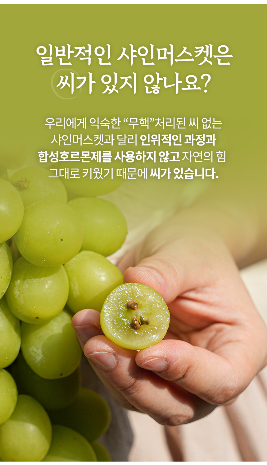 샤인머스켓 상세페이지1