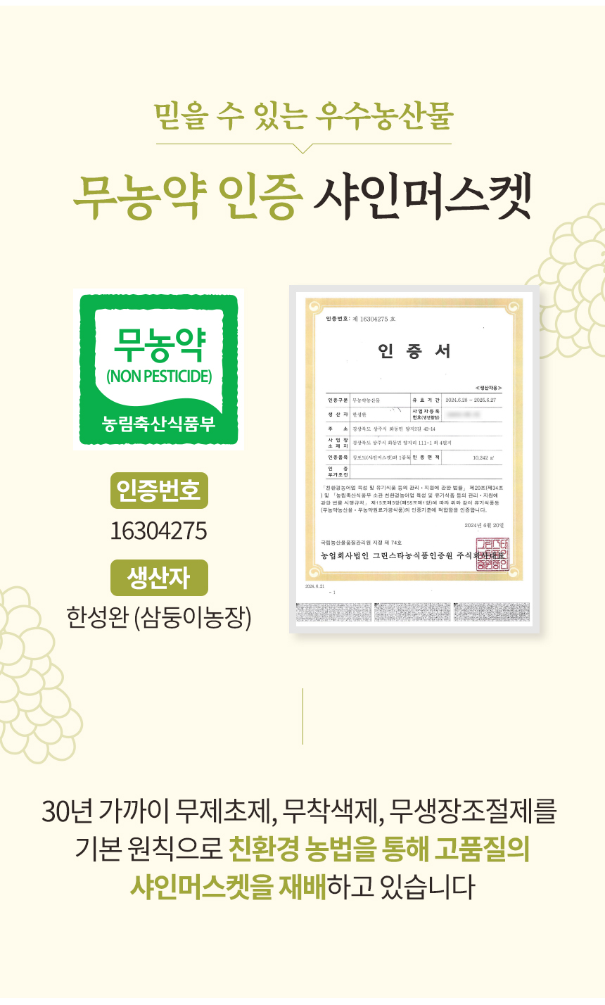 샤인머스켓 상세페이지12