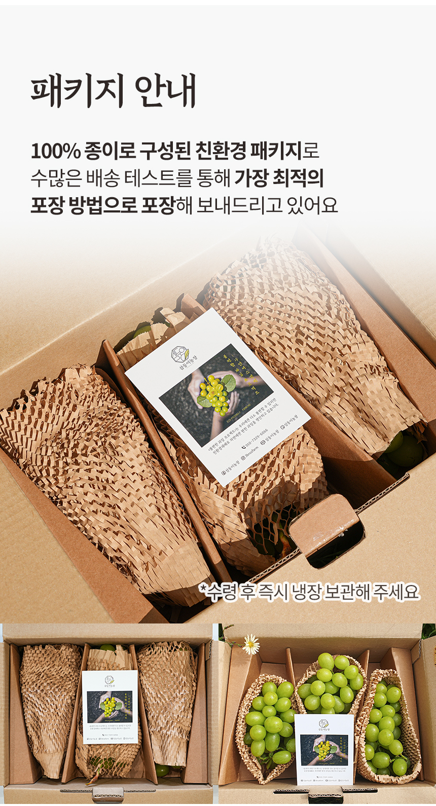 샤인머스켓 상세페이지13