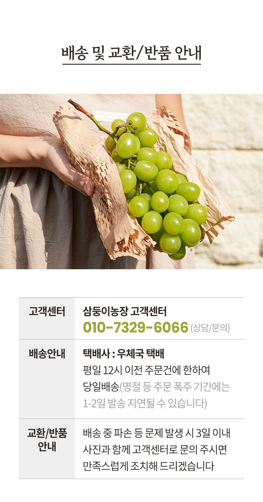 샤인머스켓 상세페이지6