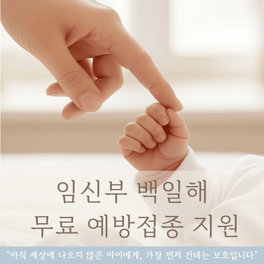 임신부 백일해 무료 예방접종 지원