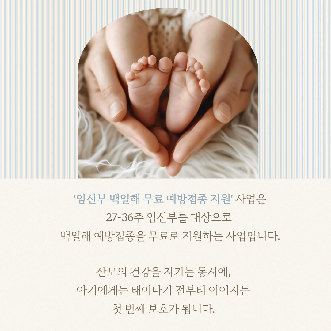 임신부 백일해 무료 예방접종 지원
