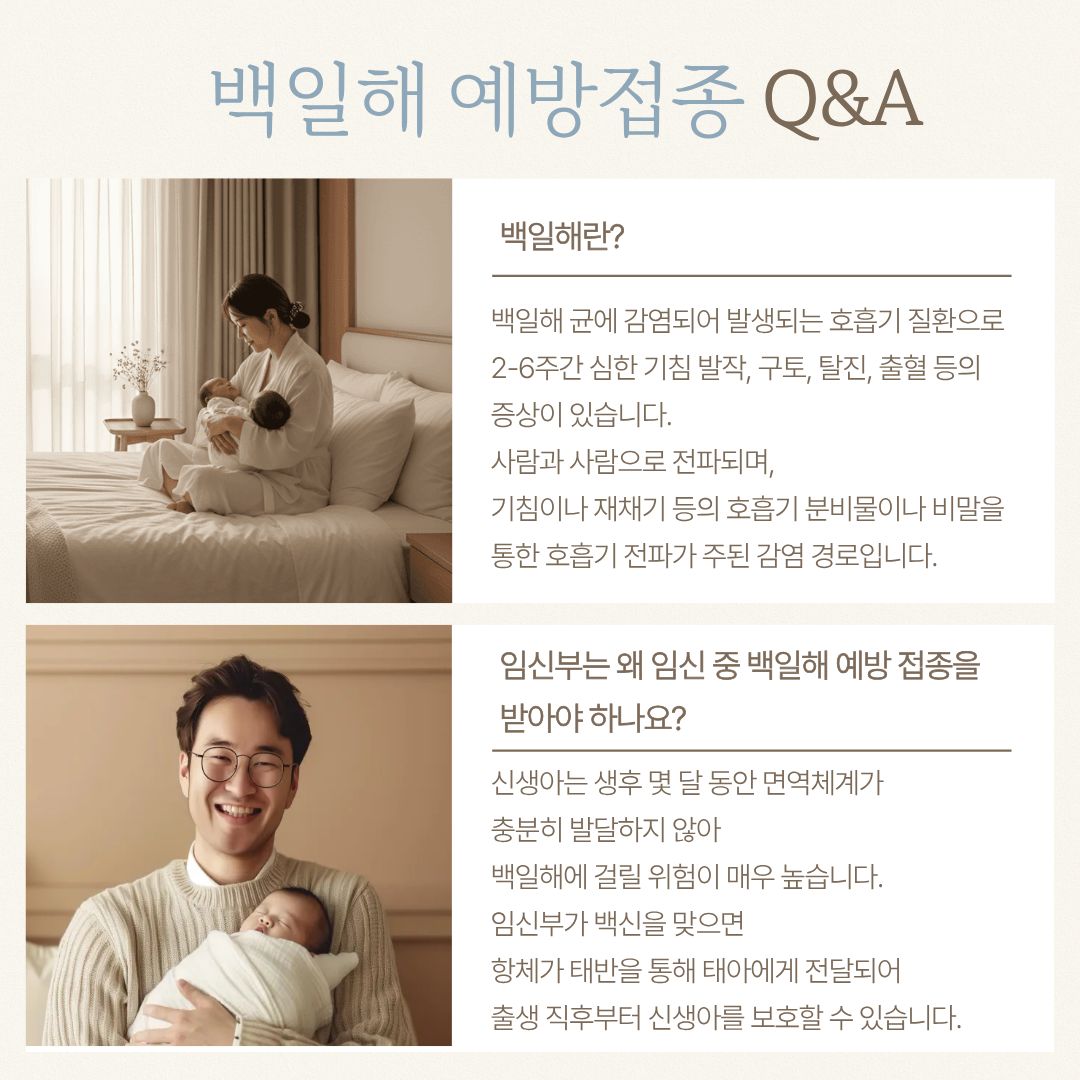 임신부 백일해 무료 예방접종 지원