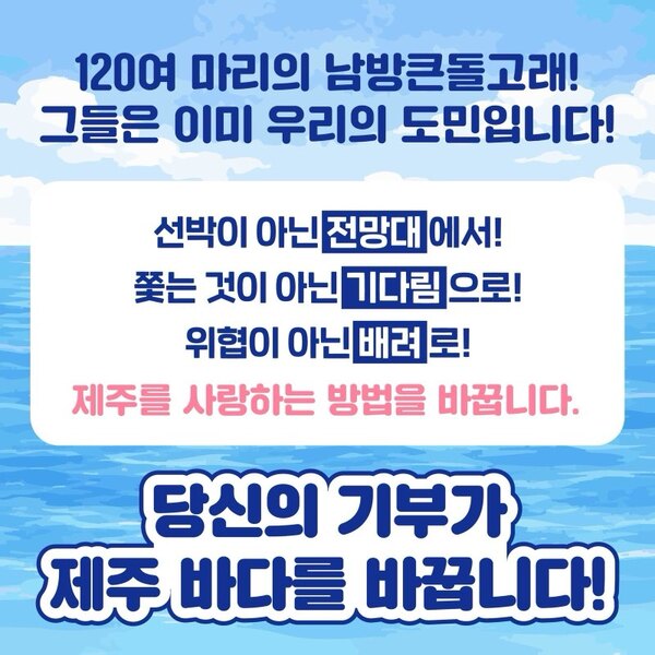 120여 마리의 남방큰돌고래! 그들은 이미 우리의 도민입니다!

선박이 아닌 전망대에서!
쫓는 것이 아닌 기다림으로!
위협이 아닌 배려로!
제주는 사랑하는 방법을 바꿉니다.

당신의 기부가 제주바다를 바꿉니다!
