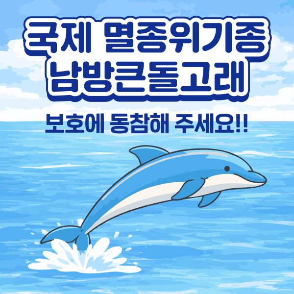 (제주) 국제멸종위기종 남방큰돌고래 보호에 동참해 주세요!!