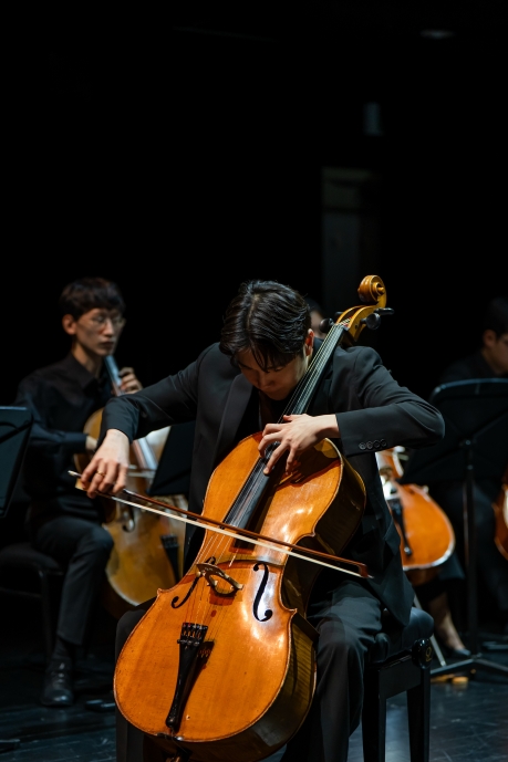 2025년 강원 첼로 앙상블