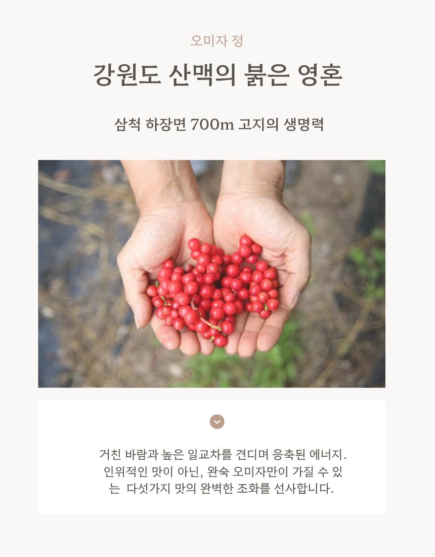 오미자 레시피 사진