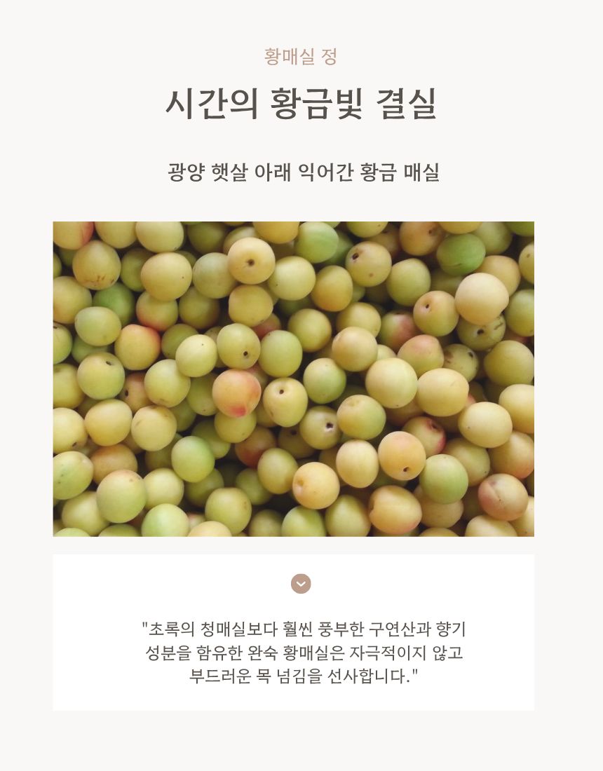 주문 전 확인 사항 안내