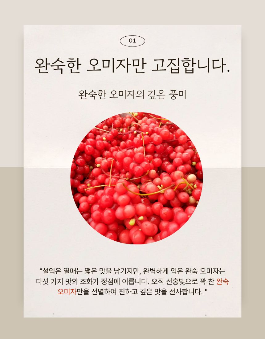오미자 생산 및 수확 장면