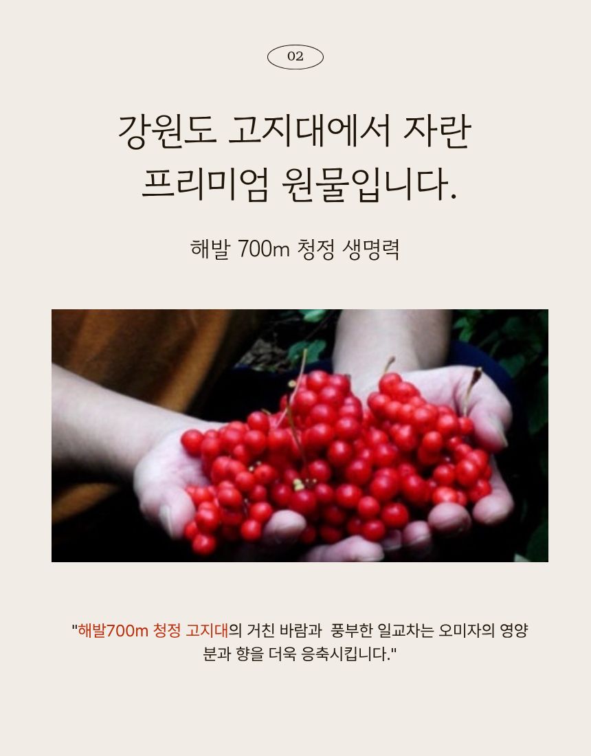 '오미자 정'을 추천하고 싶은 사람
