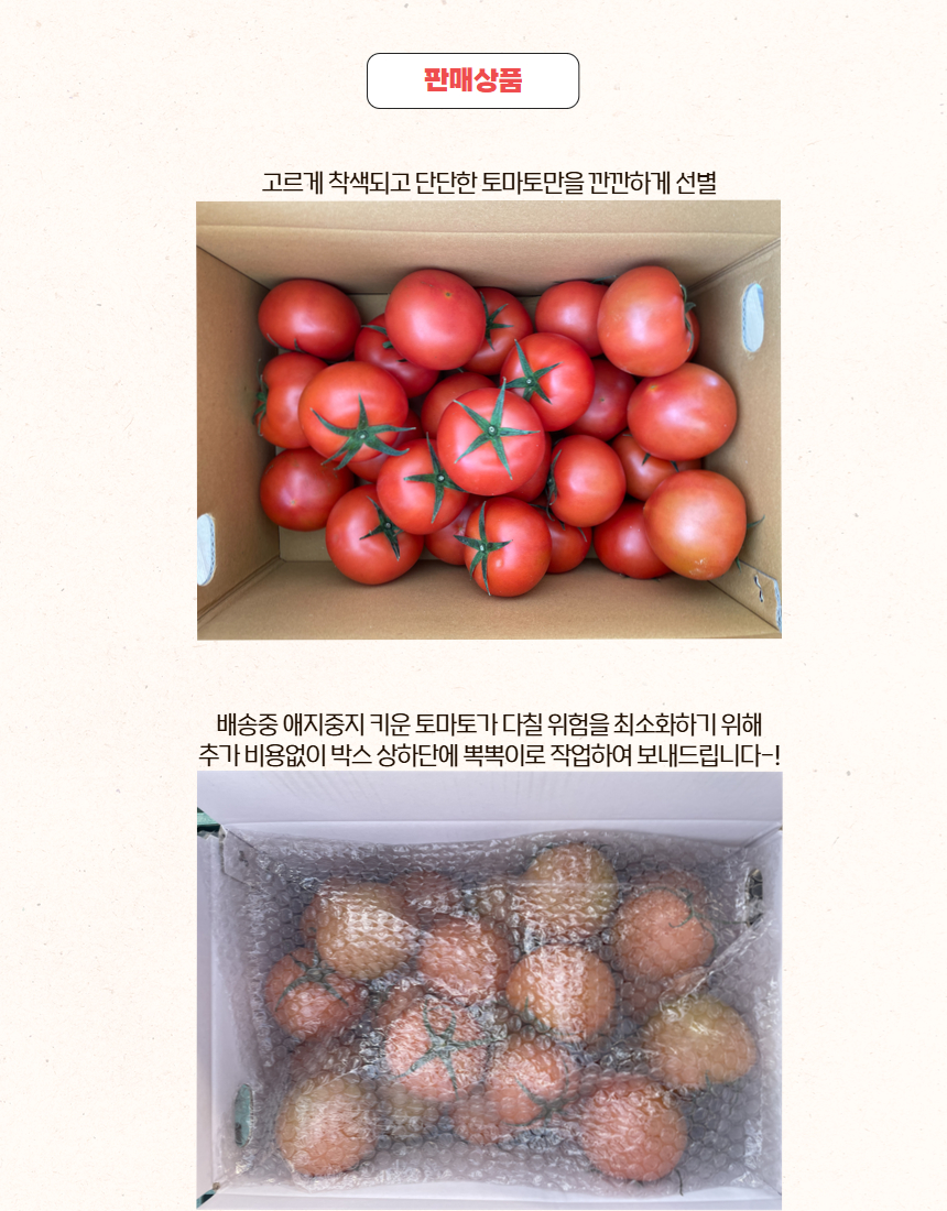 스마트팜 청년보육센터 수료시 받은 김윤경 대표의 상장