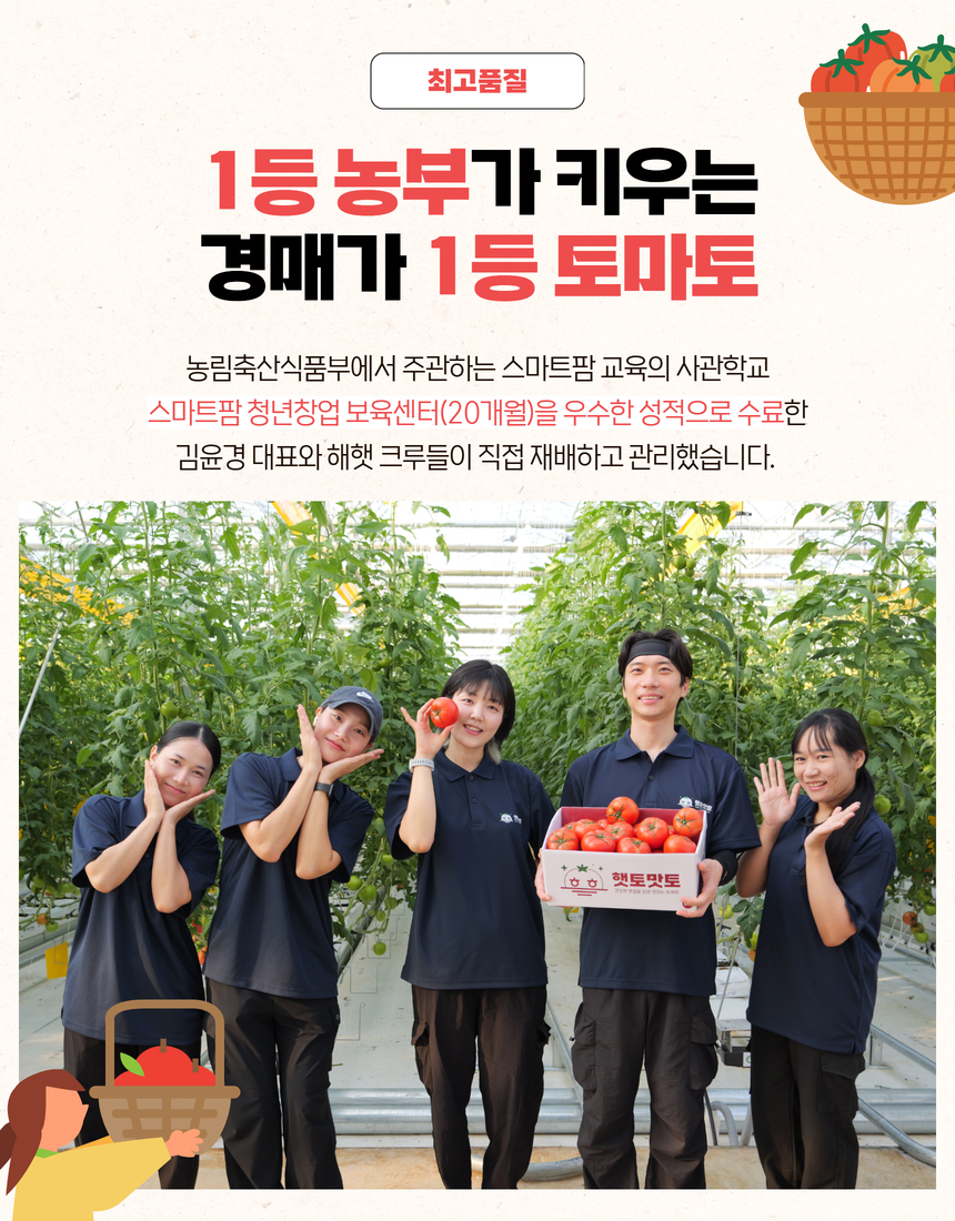 대전 오정 공판장에서 지속적으로 1등을 하고 있는 전북 부안 해햇의 완숙토마토