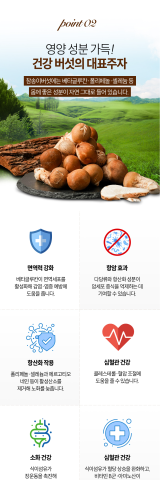 참송이버섯 point 2