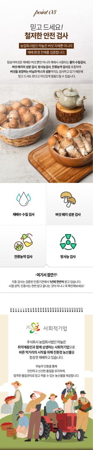 참송이버섯 point 3