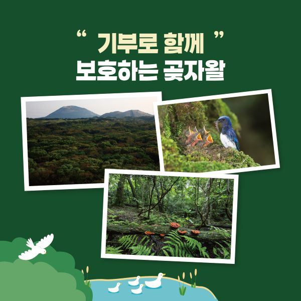 "당신의 기부가"
곶자왈을 살립니다