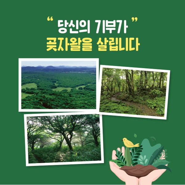 "당신의 기부가"
곶자왈을 살립니다