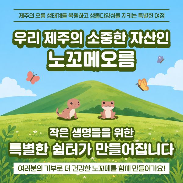 제주의 오름 생태계를 복원하고, 생물다양성을 지키는 특별한 여정

우리 제주의 소중한 자산인 노꼬메오름
작은 생명들을 위한
특별한 쉼터가 만들어집니다.

여러분의 기부로 더 건강한 노꼬메를 함께 만들어가요!
